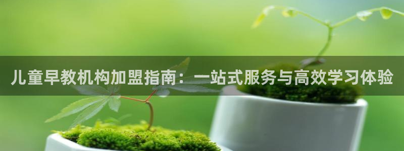 威九国际78mb下:儿童早教机构加盟指南:一站式服务与高效学习体验