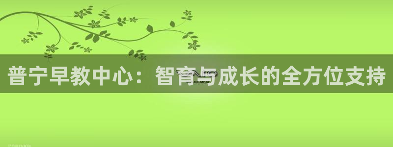 威九国际网站更新:普宁早教中心:智育与成长的全方位支持