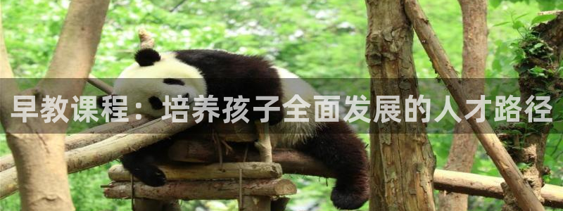 威九国际的金融服务:早教课程:培养孩子全面发展的人才路径