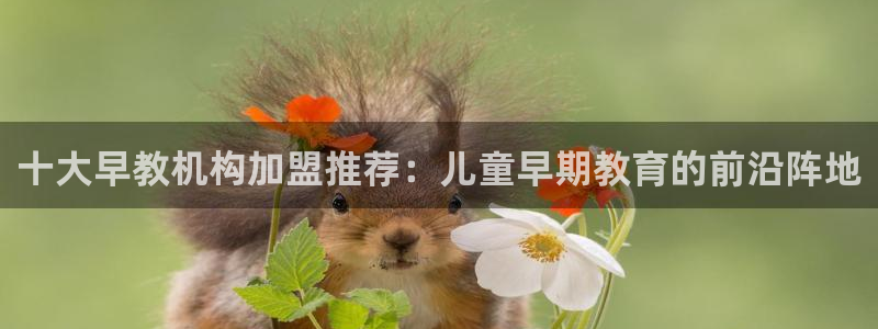 威九国际78m:十大早教机构加盟推荐:儿童早期教育的前沿阵地