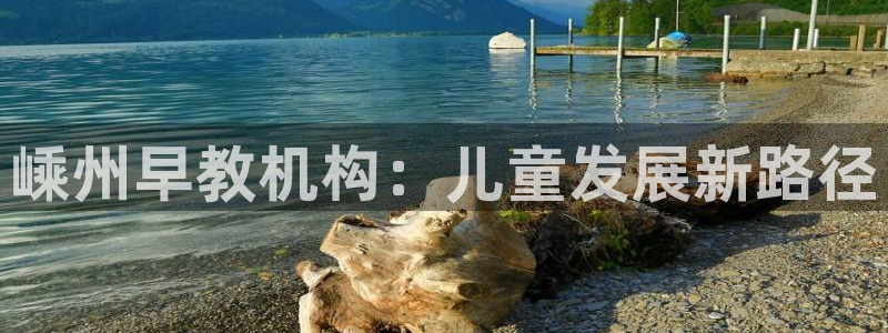 保定威九网络科技有限公司怎么样:嵊州早教机构:儿童发展新路径