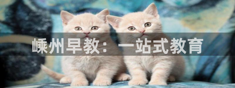 78mapp威九国际最新版:嵊州早教:一站式教育