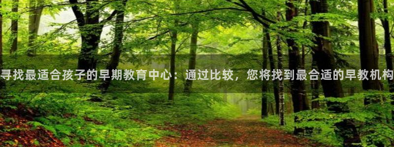 威九国际服:寻找最适合孩子的早期教育中心:通过比较,您将找到最合适的早教机构