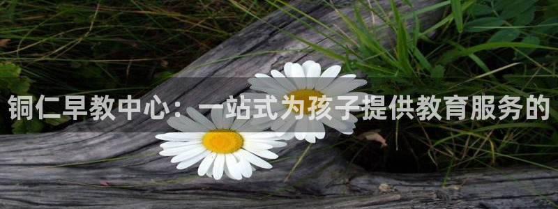 威九国际精彩视频2022年：铜仁早教中心：一站式为孩子提供教育服务的