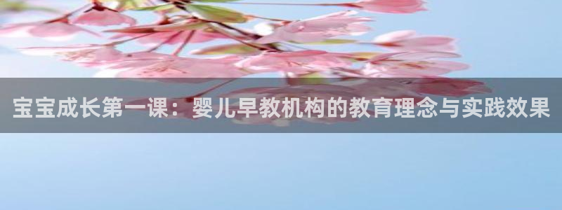 威九国际官方入口：宝宝成长第一课：婴儿早教机构的教育理念与实践效果