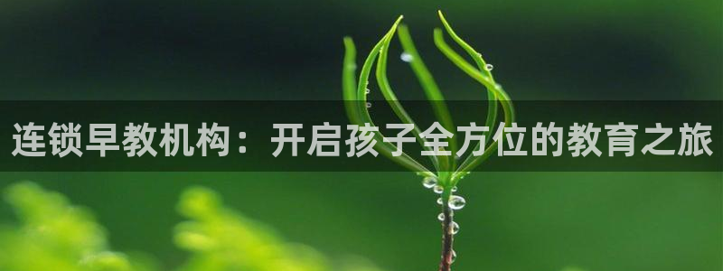 威九国际v9：连锁早教机构：开启孩子全方位的教育之旅