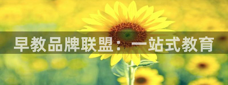 威九国际可以退钱吗怎么退的：早教品牌联盟：一站式教育