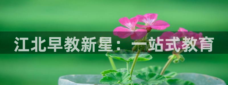 威九国际网站怎么样知乎:江北早教新星:一站式教育