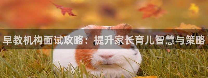 威九国际78m78:早教机构面试攻略:提升家长育儿智慧与策略