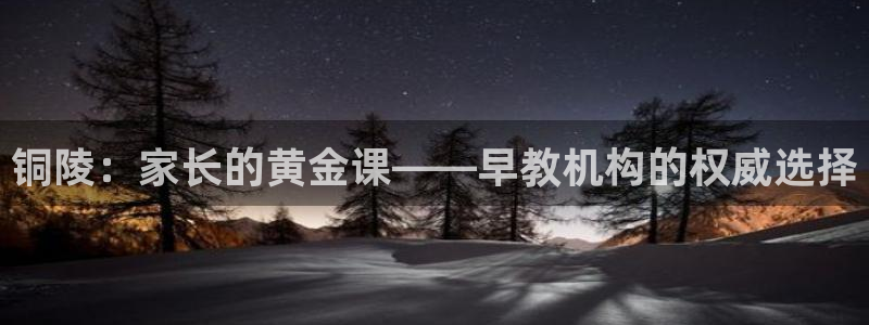 威九国际清砖码头在哪:铜陵:家长的黄金课——早教机构的权威选择