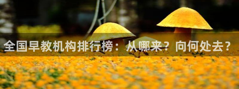 威九国际MM:全国早教机构排行榜:从哪来?向何处去?