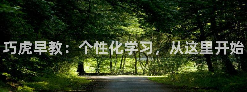 威九国际78mb下:巧虎早教:个性化学习,从这里开始