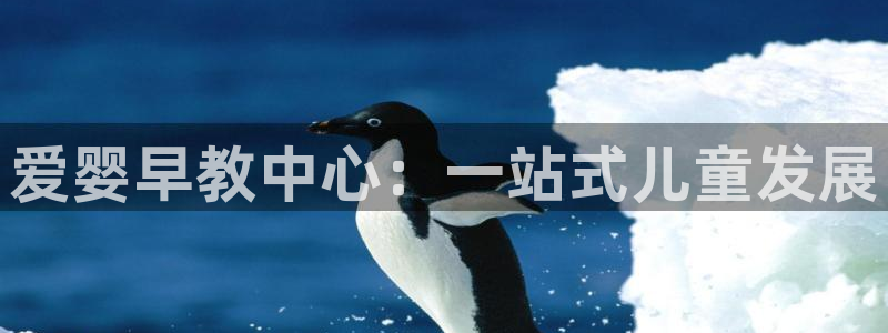 威九国际com：爱婴早教中心：一站式儿童发展