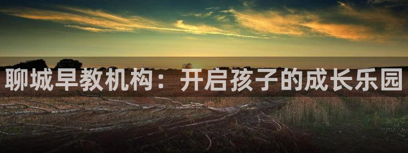 威九国际66m免费下载:聊城早教机构:开启孩子的成长乐园