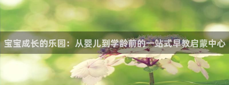 威九国际66m免费下载：宝宝成长的乐园：从婴儿到学龄前的一站式早教启蒙中心