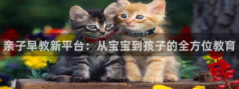 威九国际v8：亲子早教新平台：从宝宝到孩子的全方位教育