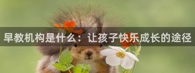 威九国际小广告：早教机构是什么：让孩子快乐成长的途径