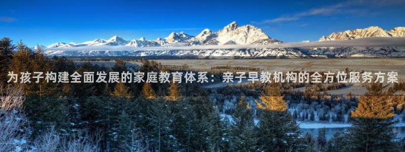 威九国际FF：为孩子构建全面发展的家庭教育体系：亲子早教机构的全方位服务方案