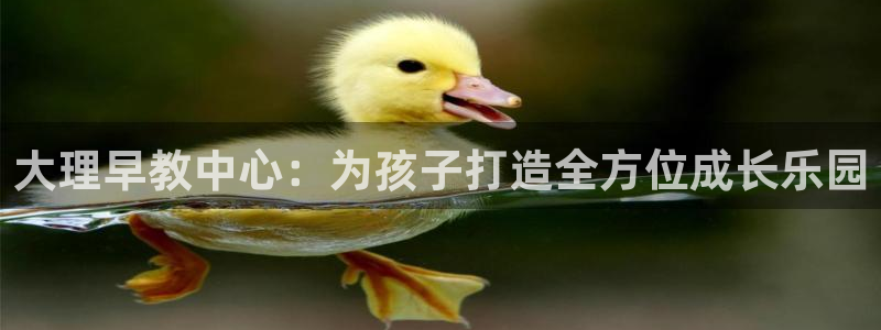 威九国际66m66成长模式免费：大理早教中心：为孩子打造全方位成长乐园