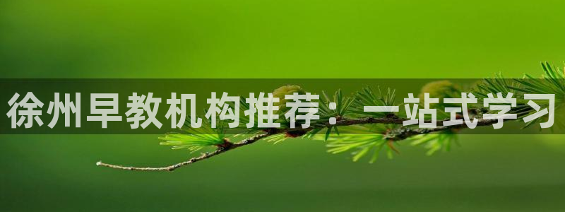 威九国际78mB官网版：徐州早教机构推荐：一站式学习