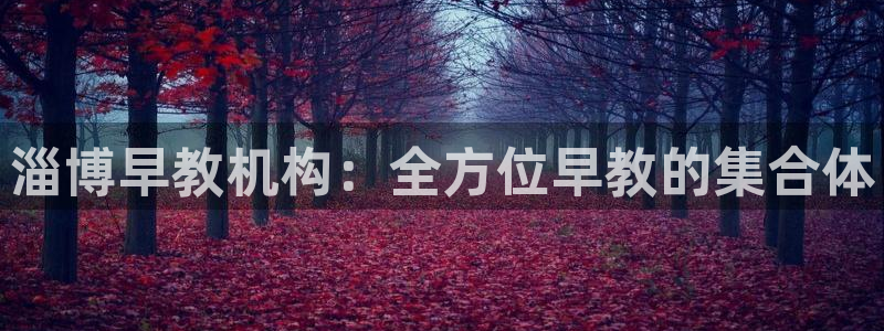 威九国际网站入口rdquo：淄博早教机构：全方位早教的集合体