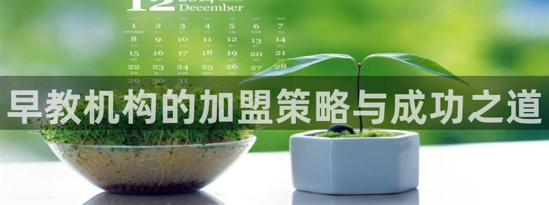 威九国际地址：早教机构的加盟策略与成功之道