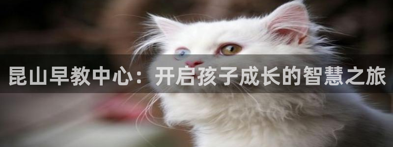 威九国际官网版下载：昆山早教中心：开启孩子成长的智慧之旅