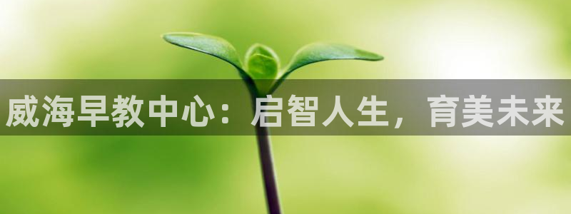 威九国际app客服电话多少：威海早教中心：启智人生，育美未来