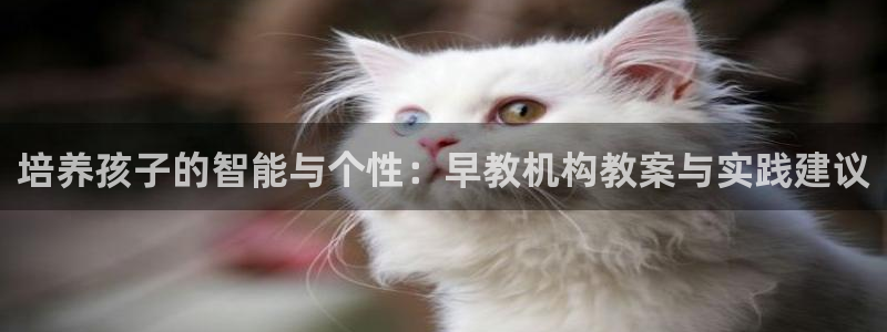 威九国际的金融服务有哪些：培养孩子的智能与个性：早教机构教案与实践建议