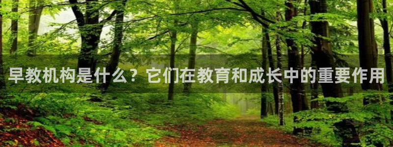 威九国际安全吗的认证团队:早教机构是什么?它们在教育和成长中的重要作用