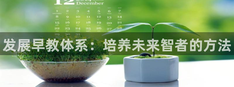 威九国际精选酒店电话：发展早教体系：培养未来智者的方法