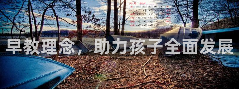 威九国际网站怎么样知乎：早教理念，助力孩子全面发展