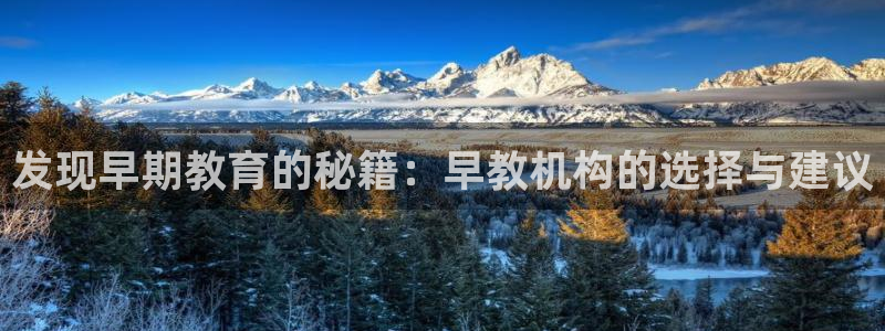 威九国际FT:发现早期教育的秘籍:早教机构的选择与建议