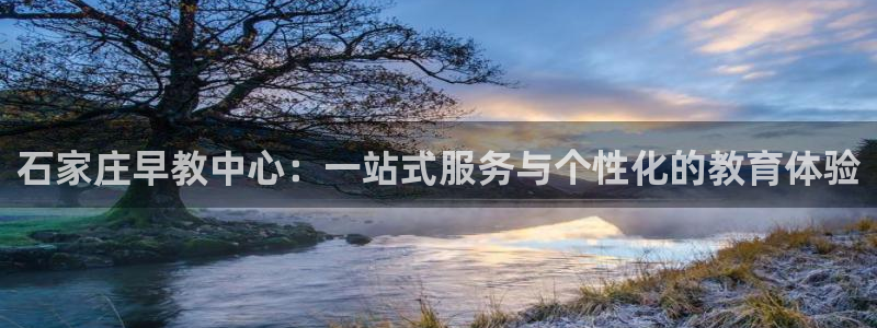 威九国际66m入口:石家庄早教中心:一站式服务与个性化的教育体验