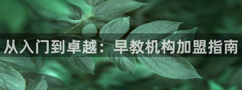 威九国际坑人的嘛：从入门到卓越：早教机构加盟指南