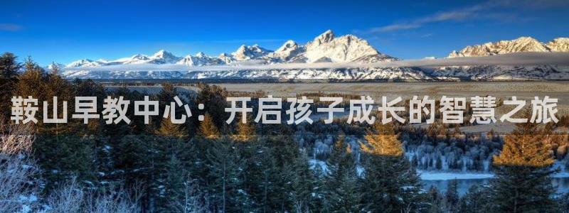 威九国际ppt免费下载：鞍山早教中心：开启孩子成长的智慧之旅