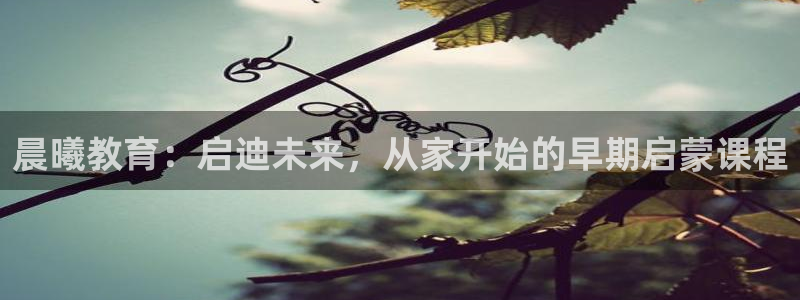 威九国际女演员好漂亮：晨曦教育：启迪未来，从家开始的早期启蒙课程