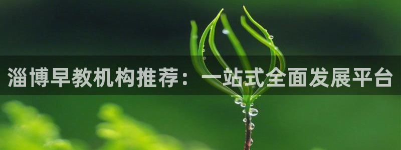 威九国际网站入口官网游戏推荐：淄博早教机构推荐：一站式全面发展平台
