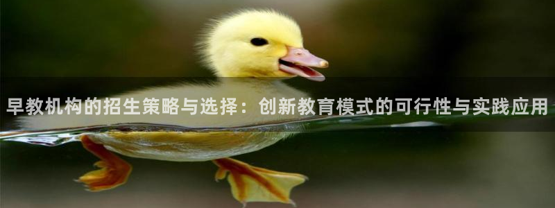威九国际地址：早教机构的招生策略与选择：创新教育模式的可行性与实践应用