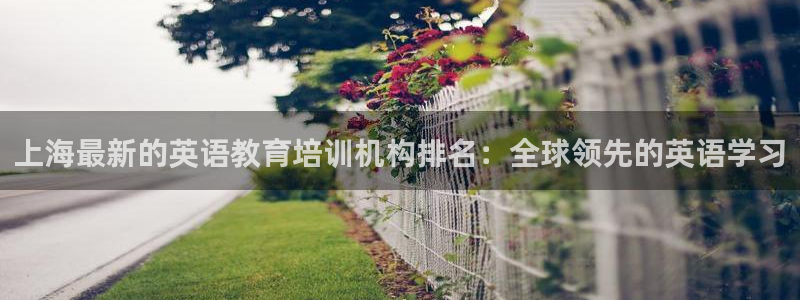 威九国际最新：上海最新的英语教育培训机构排名：全球领先的英语学习