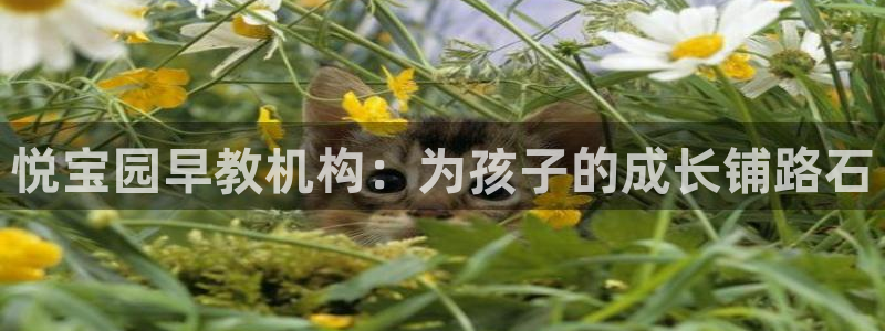 威九国际78mb官网版：悦宝园早教机构：为孩子的成长铺路石