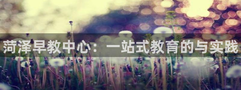 威九国际app大全下载安装：菏泽早教中心：一站式教育的与实践