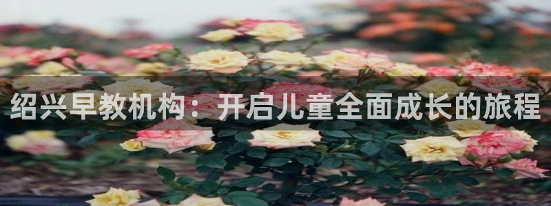 威九国际成长模式：绍兴早教机构：开启儿童全面成长的旅程