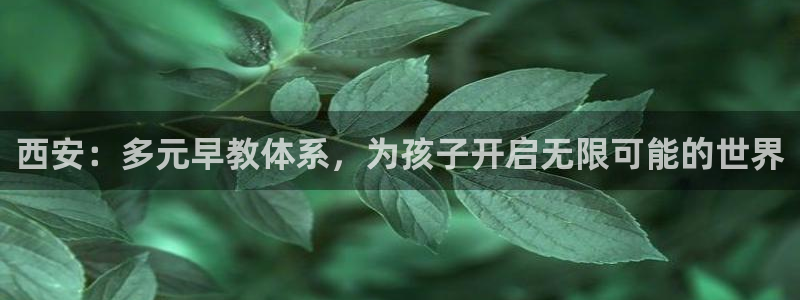 78mapp威九国际：西安：多元早教体系，为孩子开启无限可能的世界