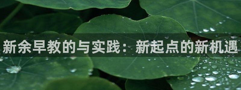 威九国际app下载：新余早教的与实践：新起点的新机遇