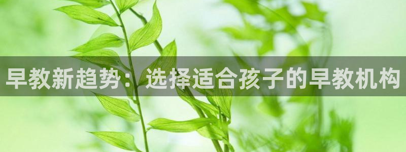 威九国际精忐：早教新趋势：选择适合孩子的早教机构
