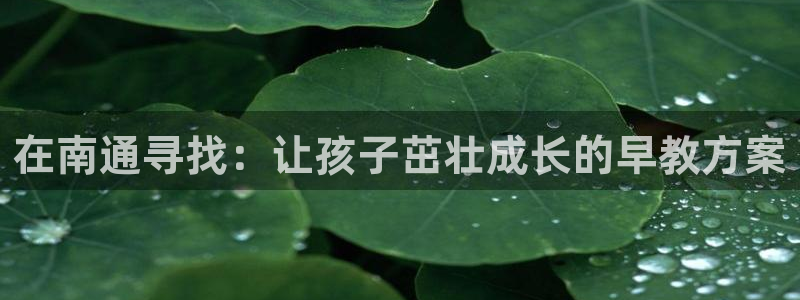 威九国际可以退钱吗怎么退：在南通寻找：让孩子茁壮成长的早教方案