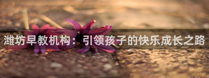 威九国际视频传媒招聘：潍坊早教机构：引领孩子的快乐成长之路