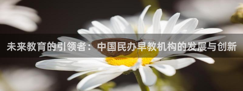 威九国际男主：未来教育的引领者：中国民办早教机构的发展与创新
