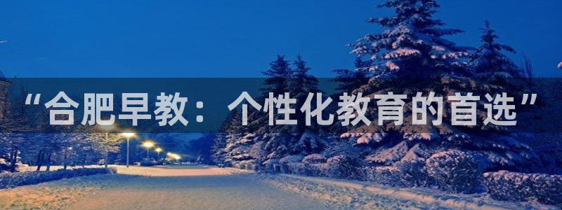 78mapp威九国际官网版：“合肥早教：个性化教育的首选”